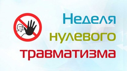 «Неделя нулевого травматизма» по теме «Укусы и иные телесные повреждения, нанесенные животными: взгляд на причину не локально, а комплексно»